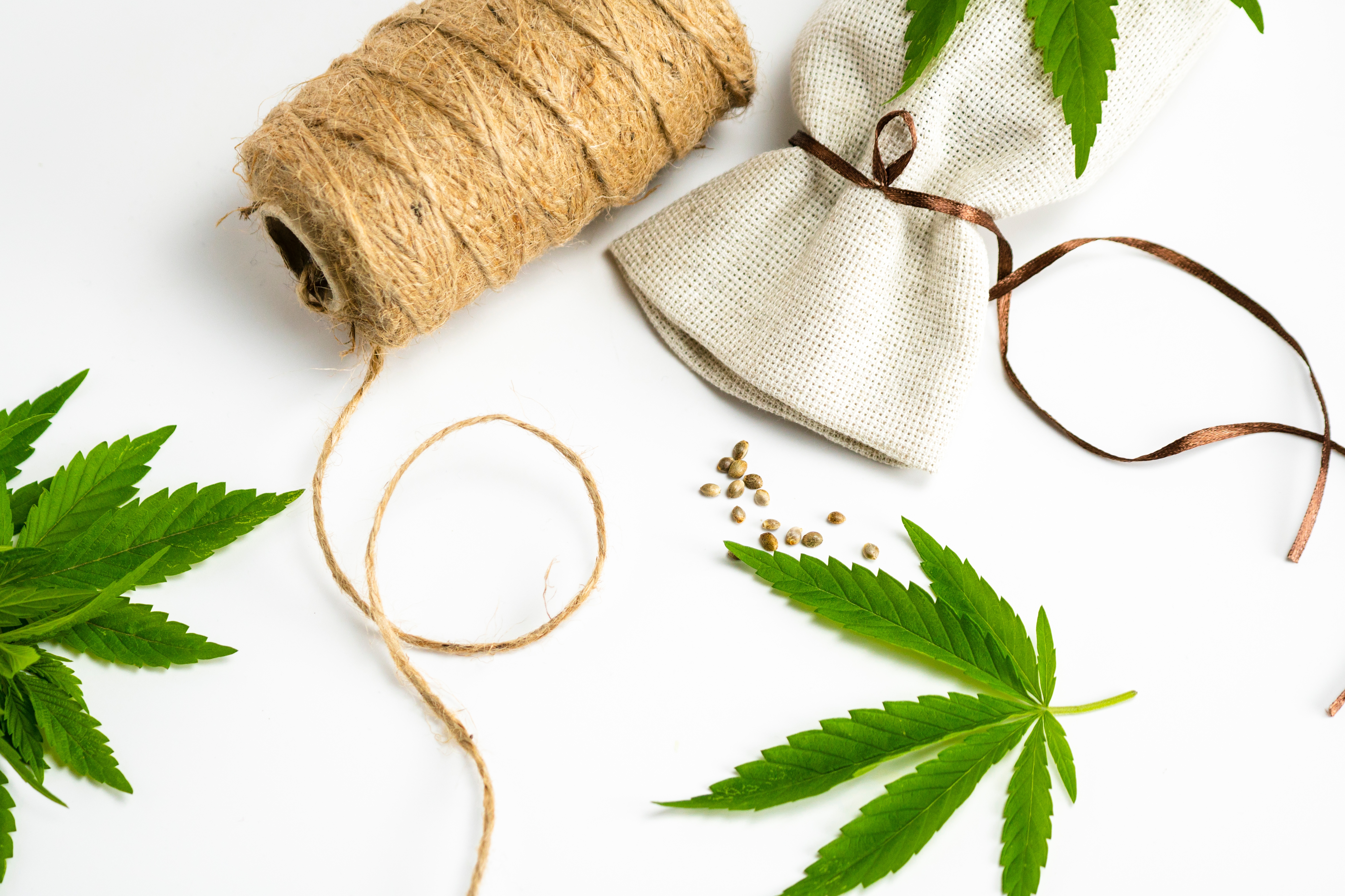 What is hemp used for? Textiles, rope, seed oil, and more!