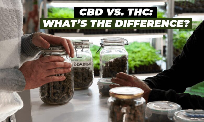 CBD vs. THC: What is the Difference?